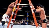 The day I became an HBK fan